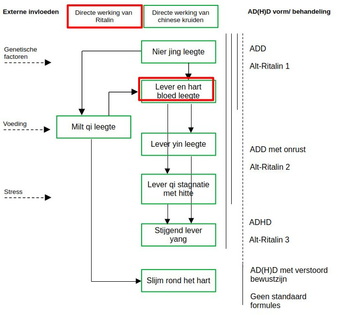 Vergelijk werking Ritalin en chinese kruiden bezien vanuit TCM